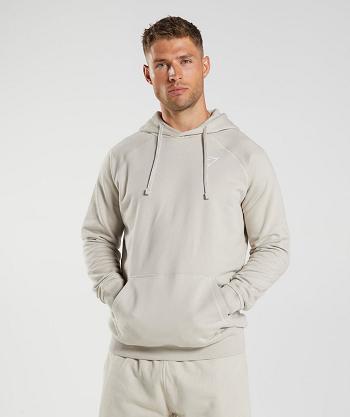 Gymshark Crest Hoodie Herr Grå | SE 3562DFM